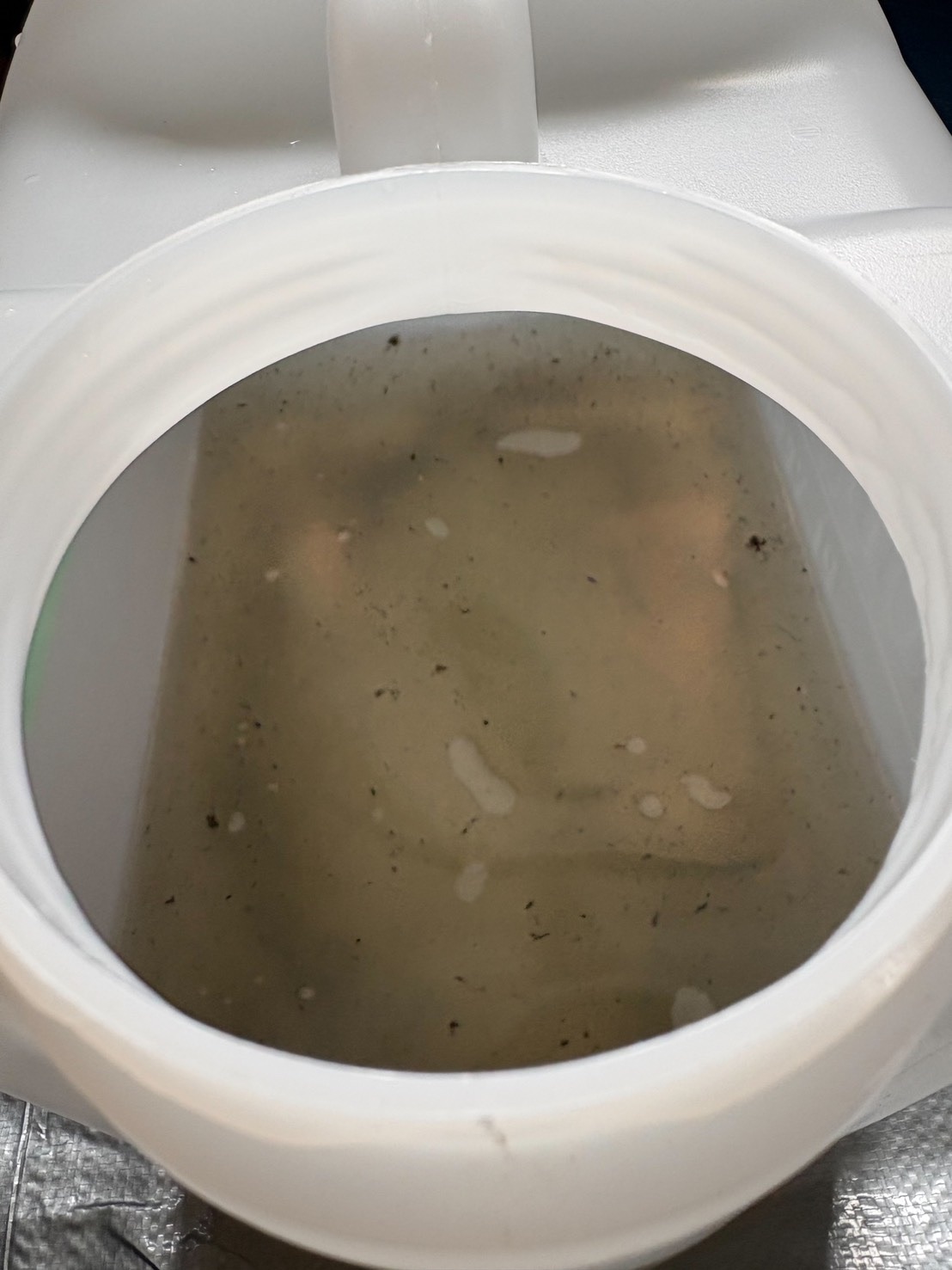洗浄で出た、汚れを含んだ水がたまったタンクを真上から見たところ